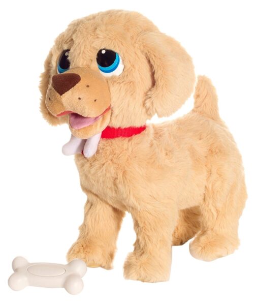 Goldy, Cane Peluche