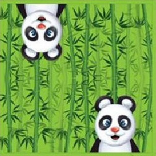 Tovaglioli festa Panda