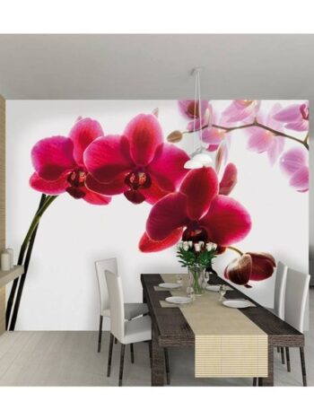 Fotomurale Orchidea 232 x 315cm