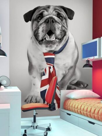 Fotomurale Bulldog Union Jack 232 x 158cm