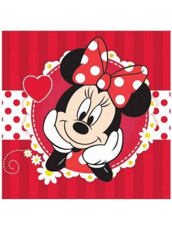 Asciugamano magico Minnie