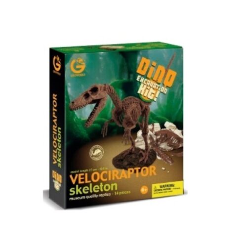 Dino Excavation Kit - Velociraptor Scheletro
