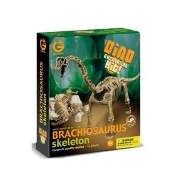Dino Excavation Kit - Brachiosauro Scheletro