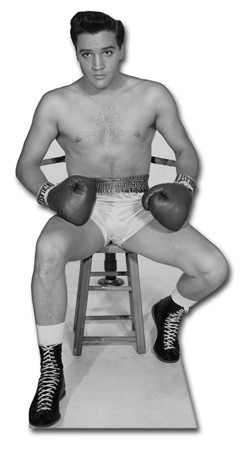 Elvis Boxer sagoma 138 cm H