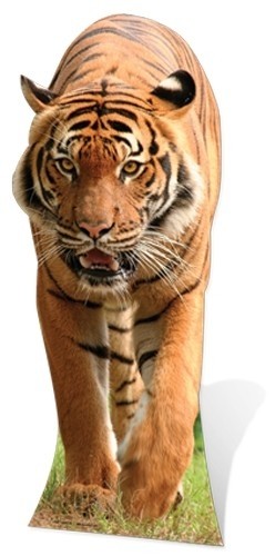 Tiger sagoma 130 cm H