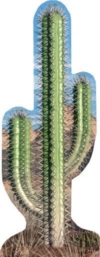 Cactus Single sagoma 183 cm H