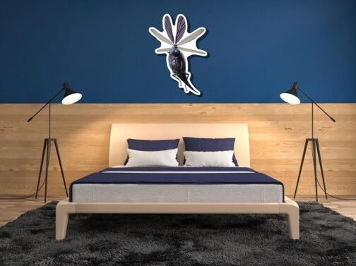 Wall-art Billywig Animali Fantastici e Dove Trovarli