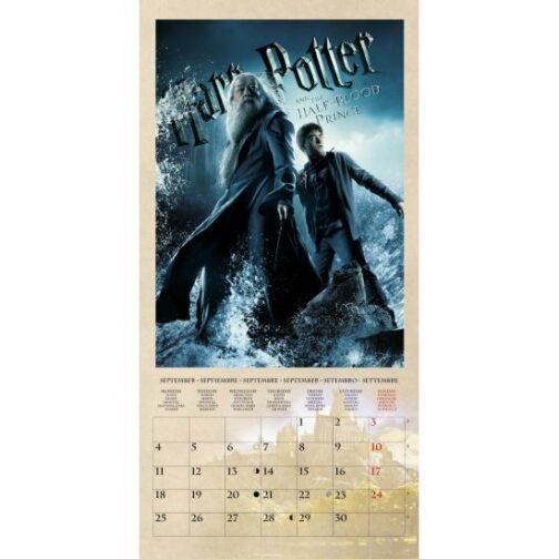 Harry Potter Calendario 2017 con poster in omaggio