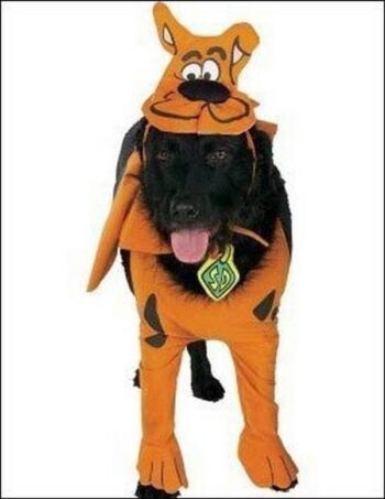 Costume pets Scooby Doo