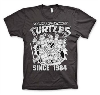 TMNT Distressed Since 1984 T-Shirt