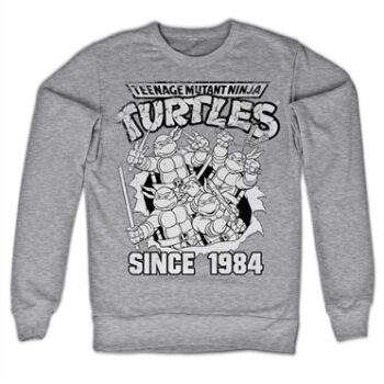 TMNT Distressed Since 1984 Felpa