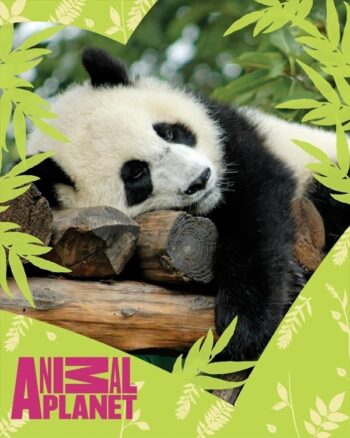 Plaid pile Animal Planet Panda
