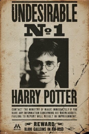 Harry Potter 7 Maxi Poster "Wanted"