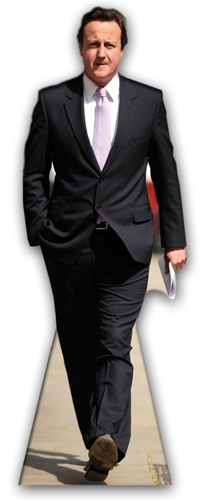 David Cameron (Tories) sagoma 180 cm H