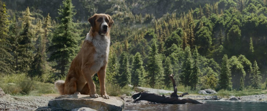 Il richiamo della Foresta con Harrison Ford da oggi al cinema: trailer, trama e 16 fantastiche immagini in HD da scaricare