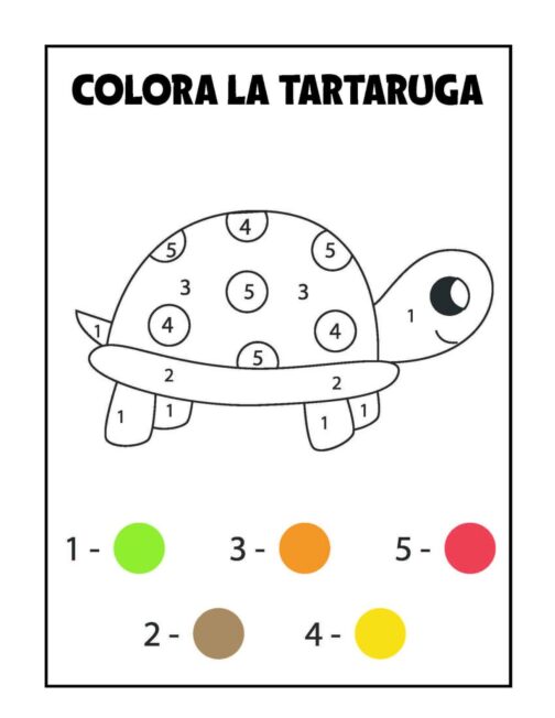 Album colora per numeri tartaruga