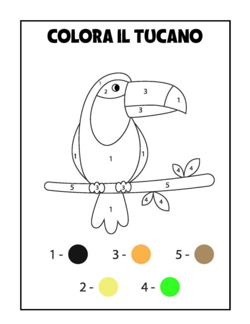 Album colora per numeri tucano